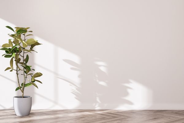 Traditional Paste Wallpaper